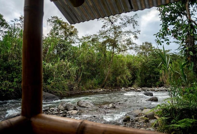 בית מלון כפרי River Song S