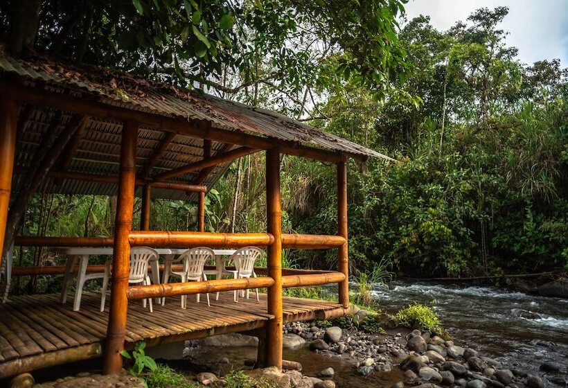 בית מלון כפרי River Song S