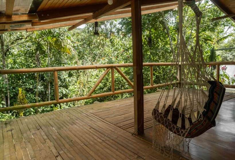 בית מלון כפרי River Song S