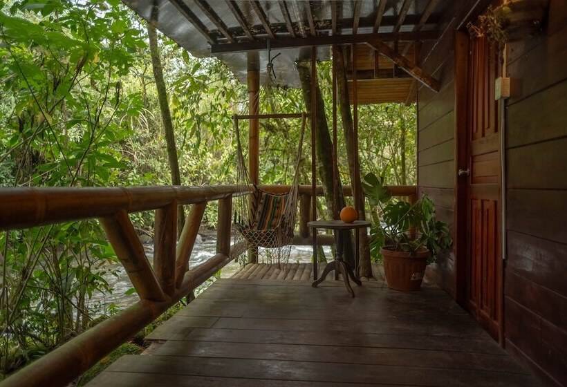 בית מלון כפרי River Song S