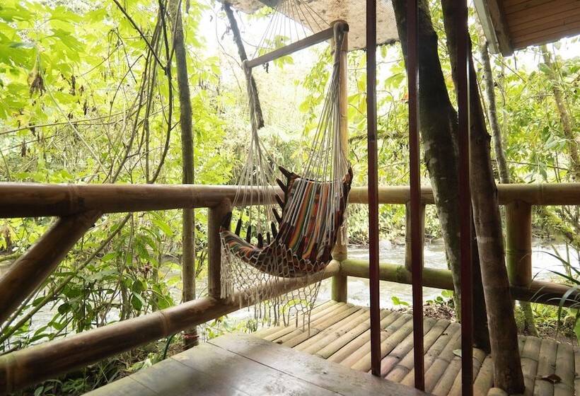 בית מלון כפרי River Song S