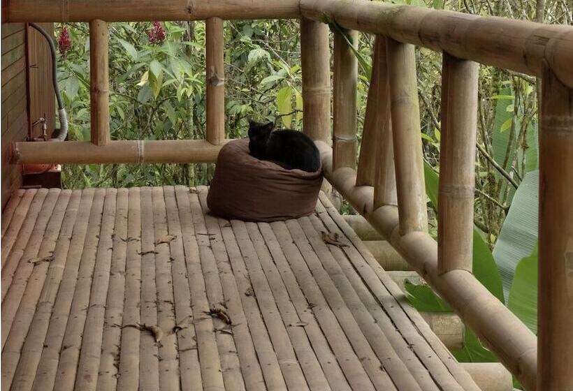 בית מלון כפרי River Song S