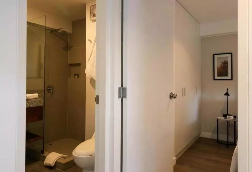 Monumental By Wynwood House