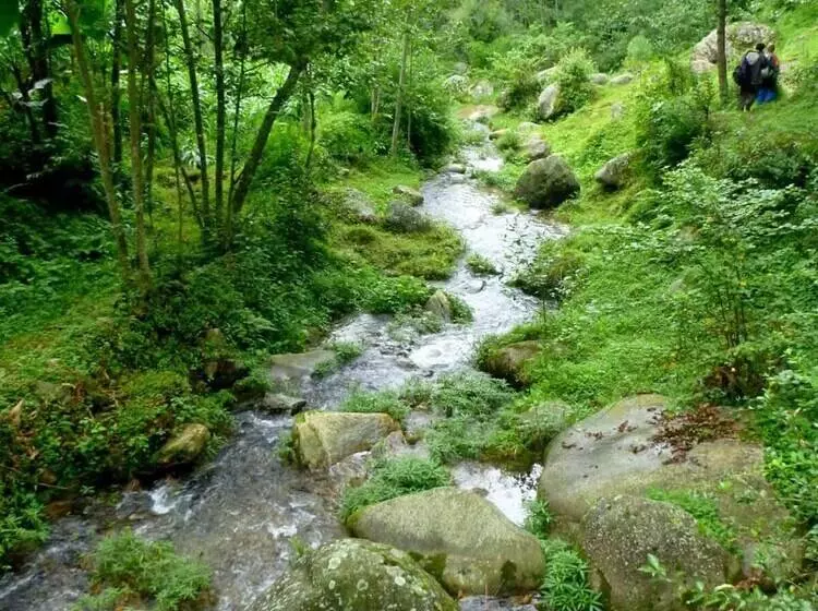 هتل Mount Mahabharat Homestay