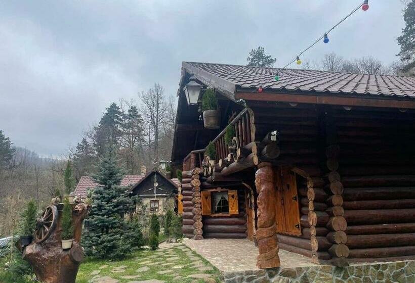 ペンション Cabana Noah