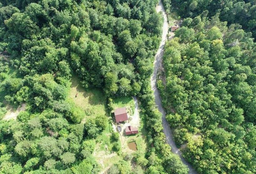 ペンション Cabana Noah