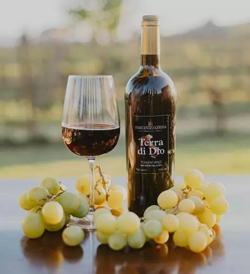 ホテル Agriturismo Terra Di Dio Toscanizzazione