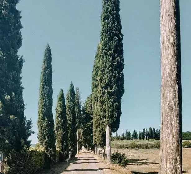 ホテル Agriturismo Terra Di Dio Toscanizzazione
