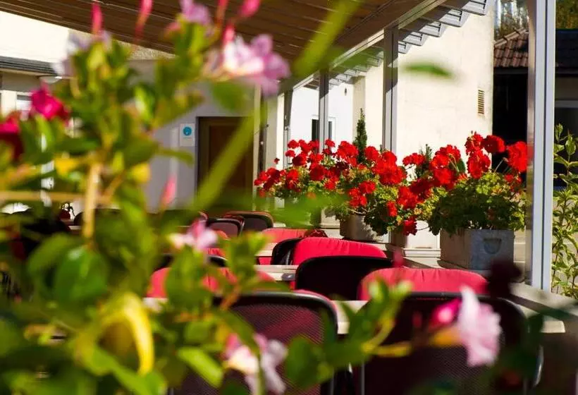 ペンション Gasthof Zum Wilden Mann