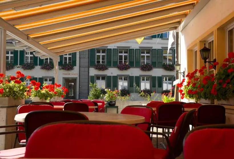 ペンション Gasthof Zum Wilden Mann