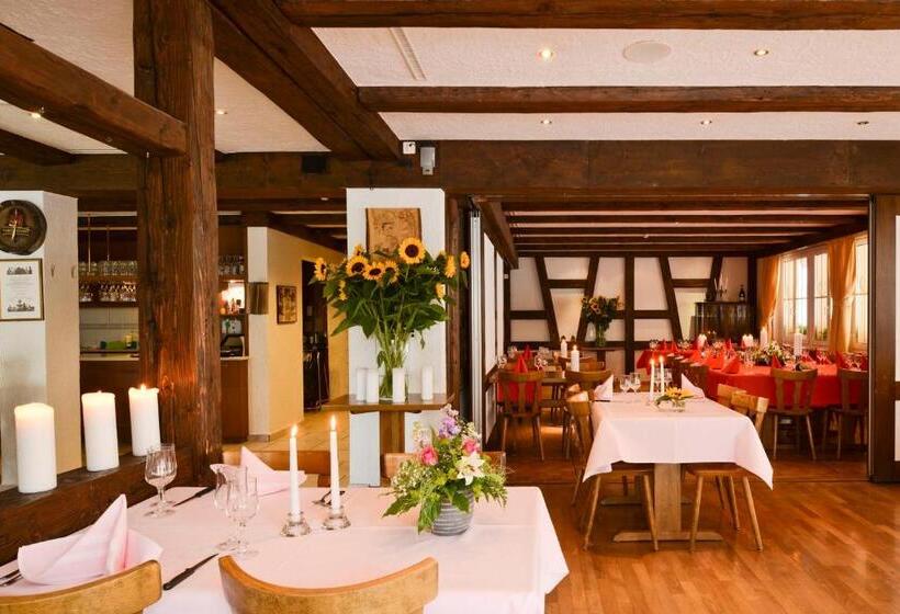 پانسیون Gasthof Zum Wilden Mann