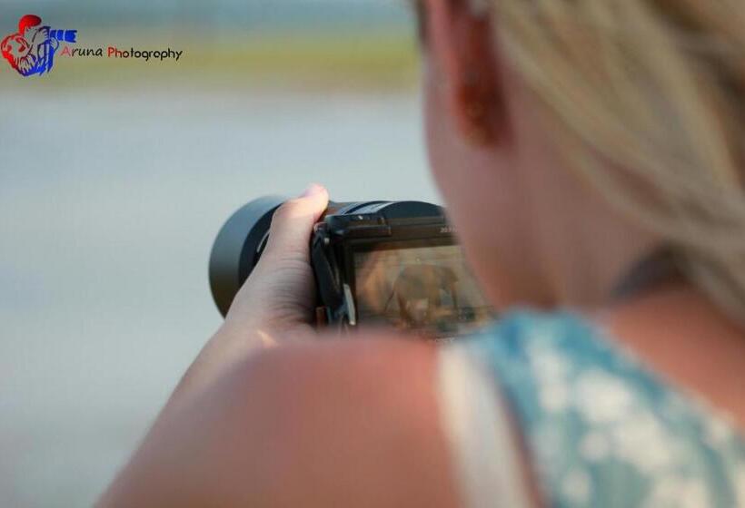 פנסיון Weaver Bird Villa