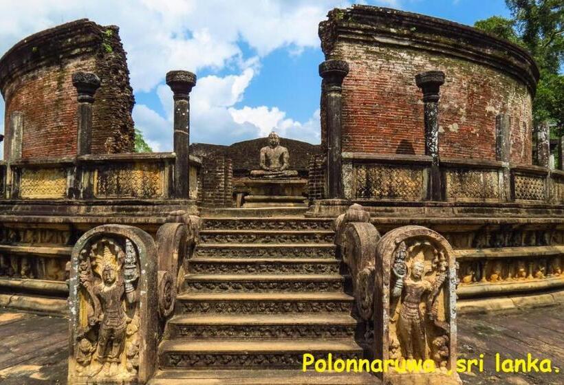 פנסיון Weaver Bird Villa