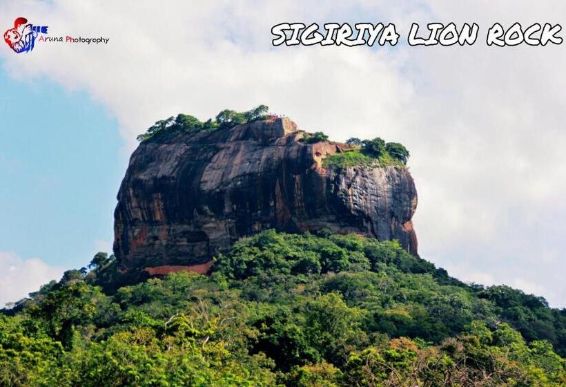 פנסיון Weaver Bird Villa