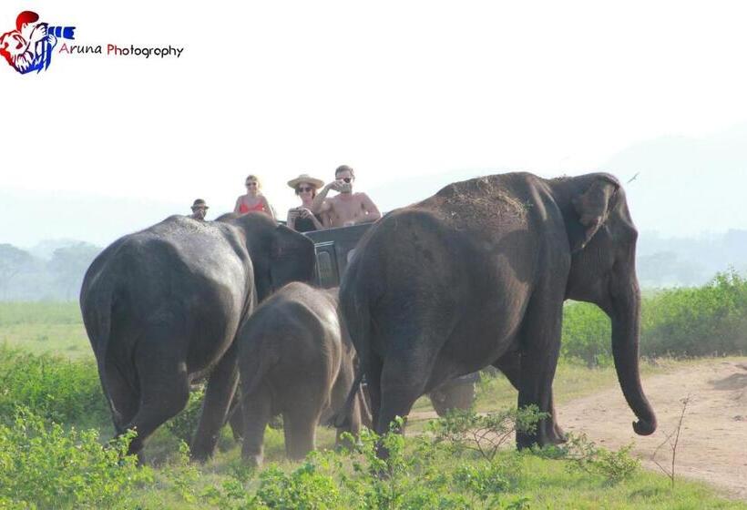 פנסיון Weaver Bird Villa