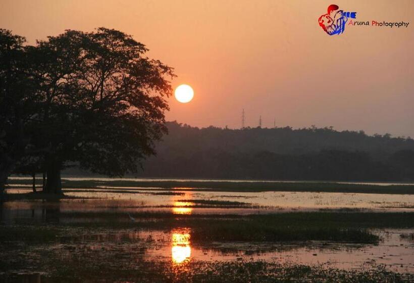 פנסיון Weaver Bird Villa
