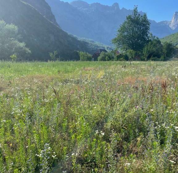 Pensão Petriti Theth