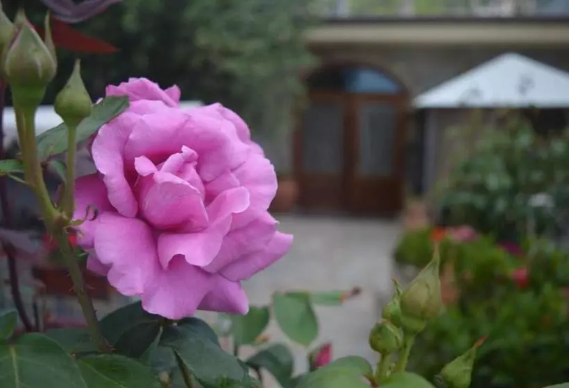 B&b Nonna Valentina