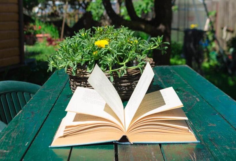 پانسیون Chill House