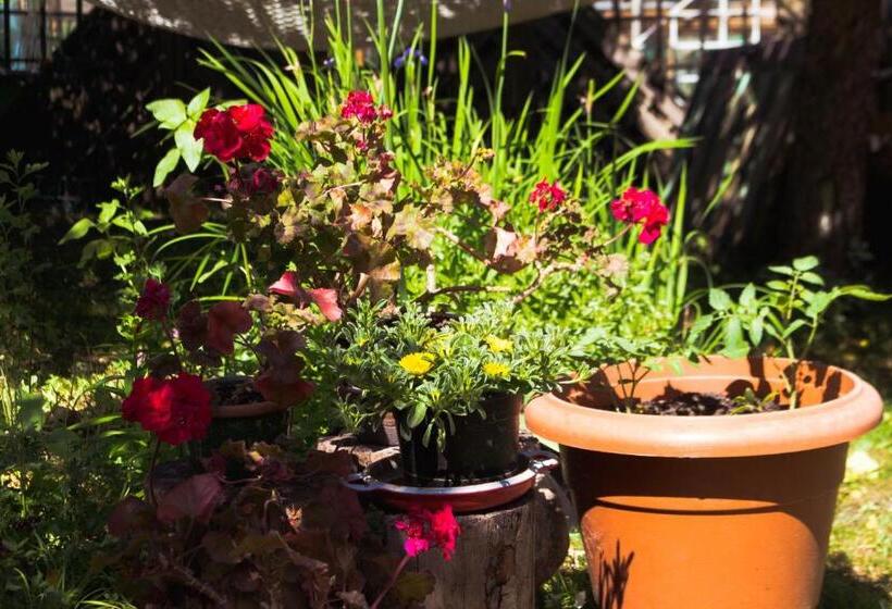 پانسیون Chill House