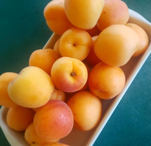 Grovely House Bed & Breakfast