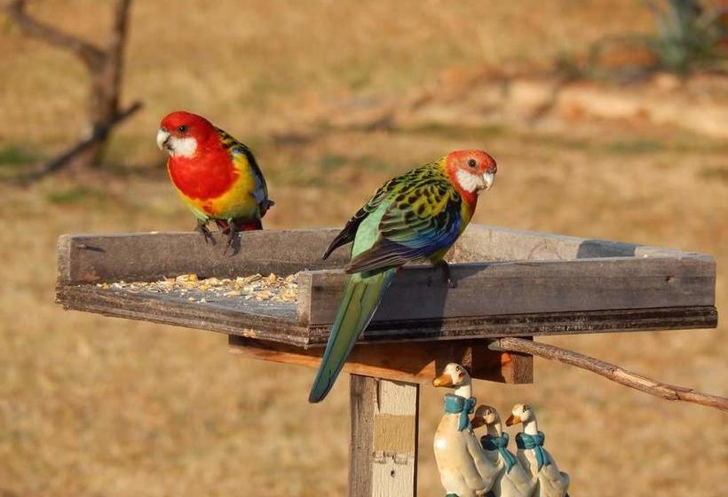 Grovely House Bed & Breakfast