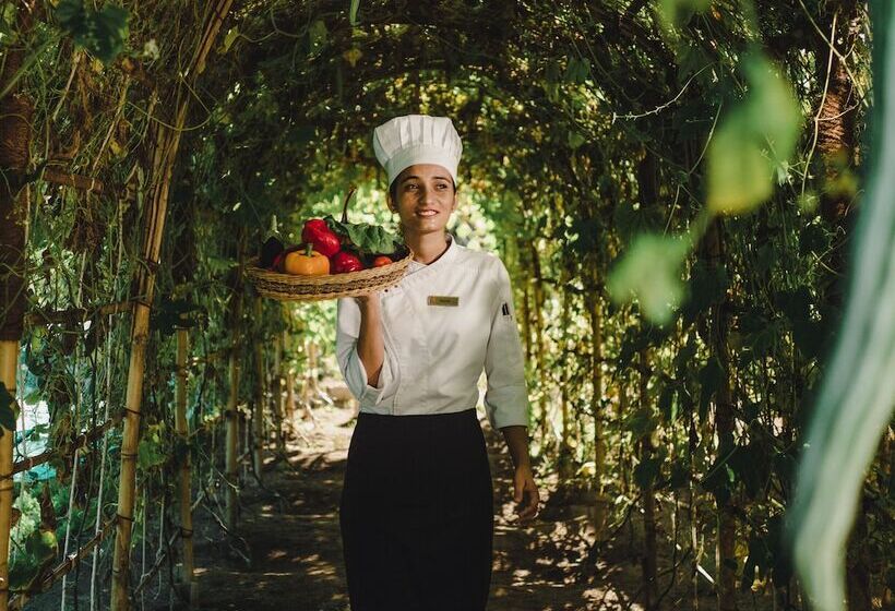 هتل Furaveri Maldives