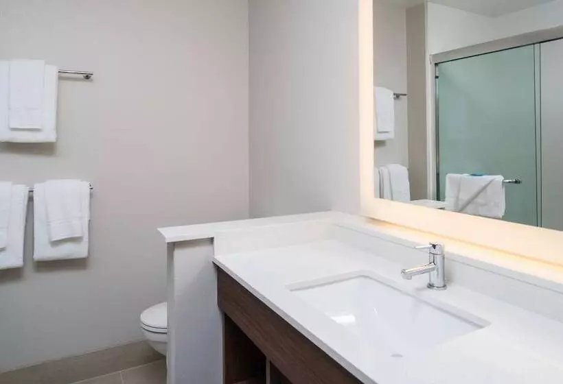 ホテル Holiday Inn Express & Suites Ruston, An Ihg