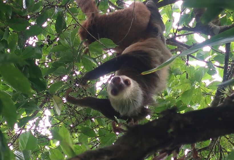 هتل Secreto La Fortuna
