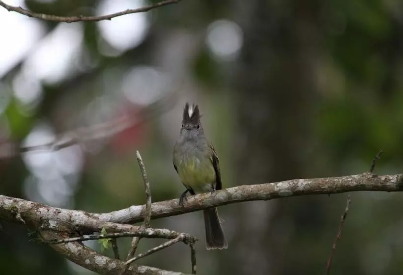 Hotelli Secreto La Fortuna