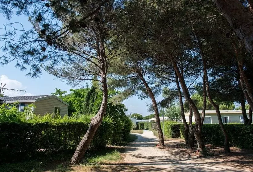 ホテル Camping Le Lac Des Rêves Lattes