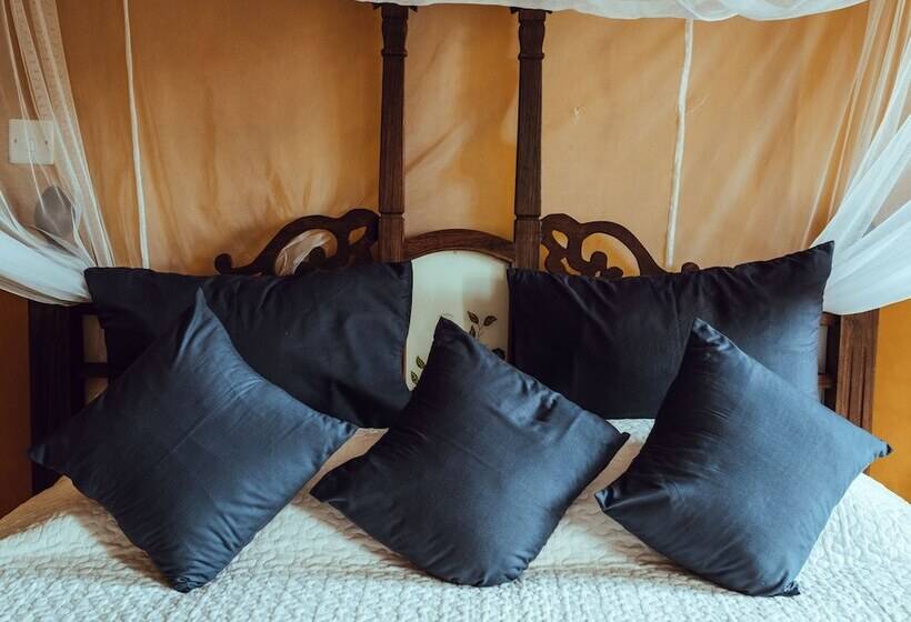 膳宿费 Kholle House