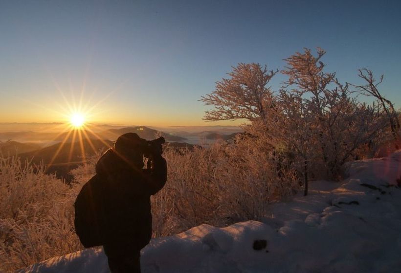 Yongpyong Resort Greenpia Condominium