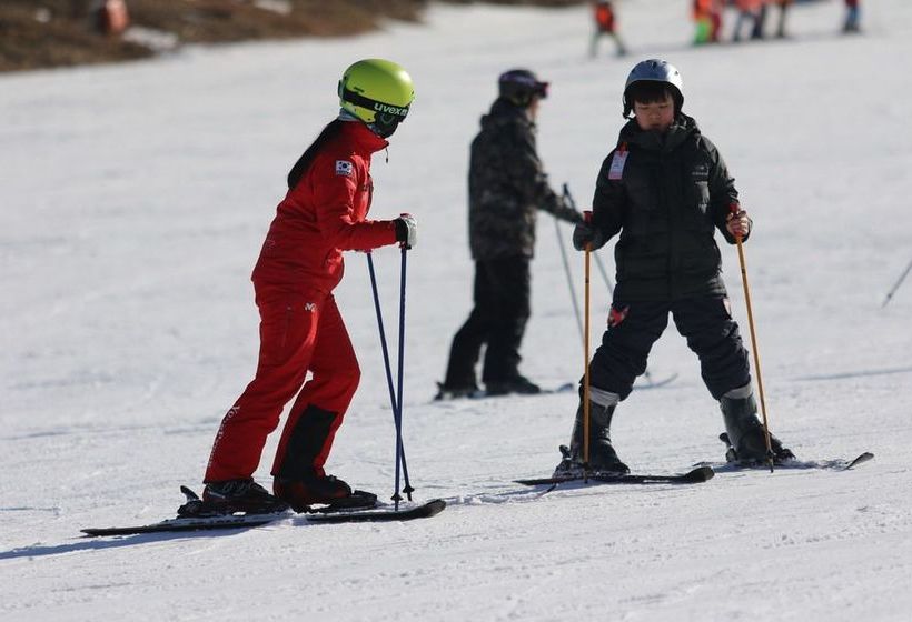 Yongpyong Resort Greenpia Condominium