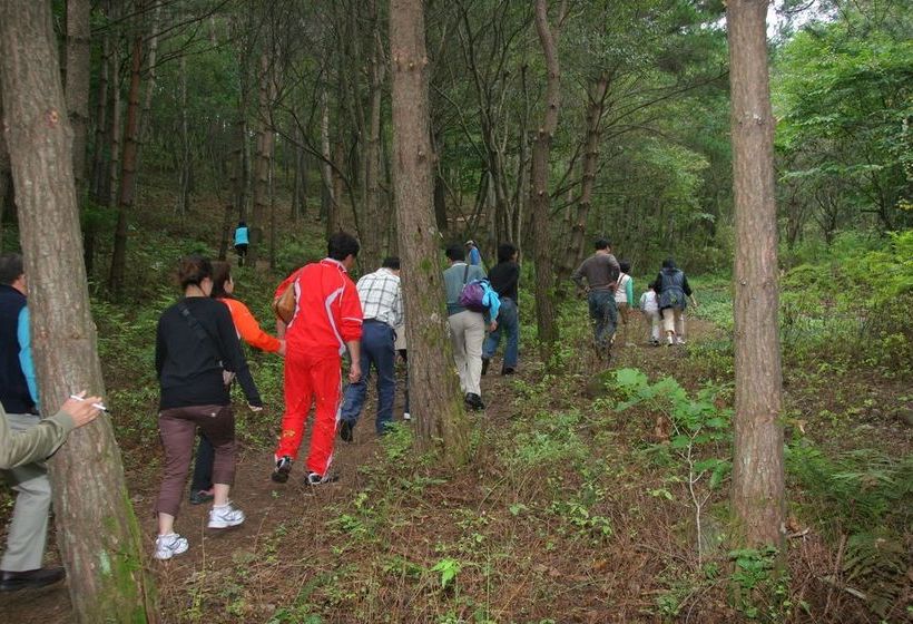 Yongpyong Resort Greenpia Condominium