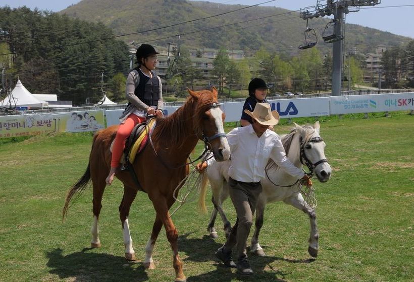 Yongpyong Resort Greenpia Condominium