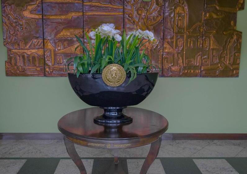 בית מלון כפרי Village