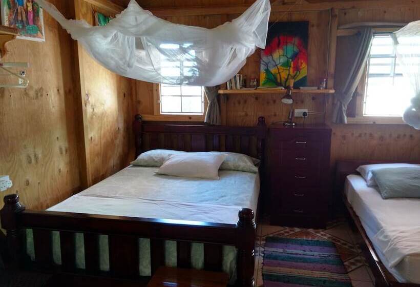 ペンション Mainroad Suite