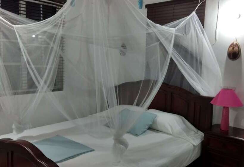 ペンション Mainroad Suite