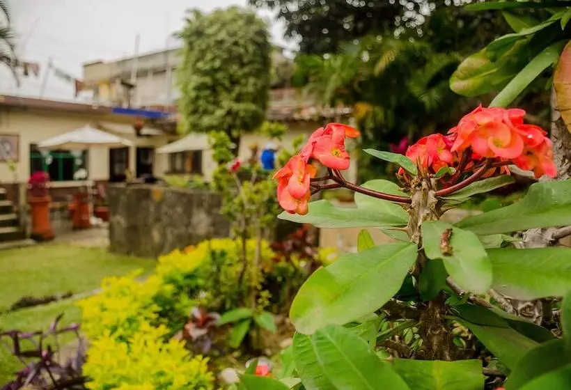 پانسیون Posada La Casa De Ana Tepoztlan