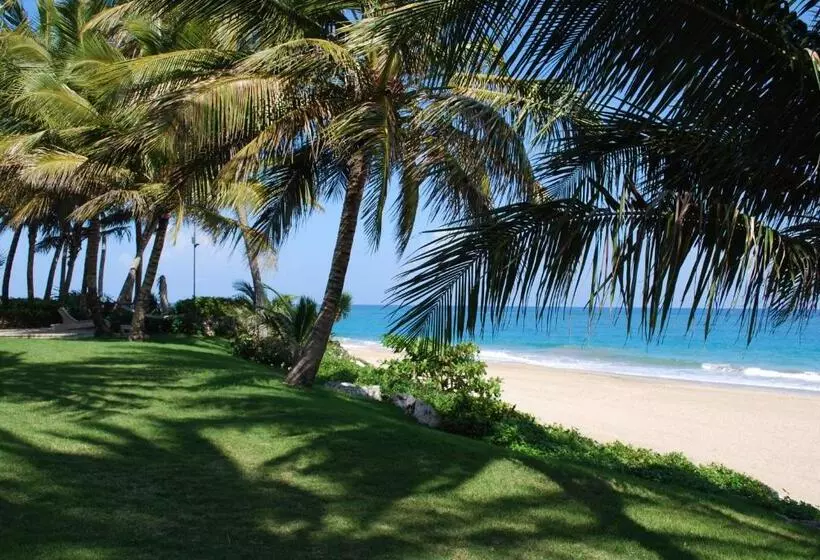 ホテル Bahia Residence Cabarete