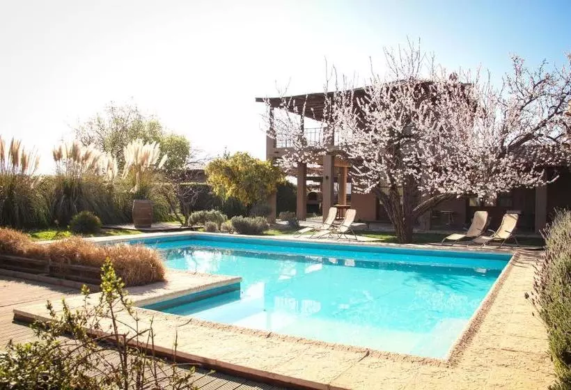 ホテル Finca Terrada
