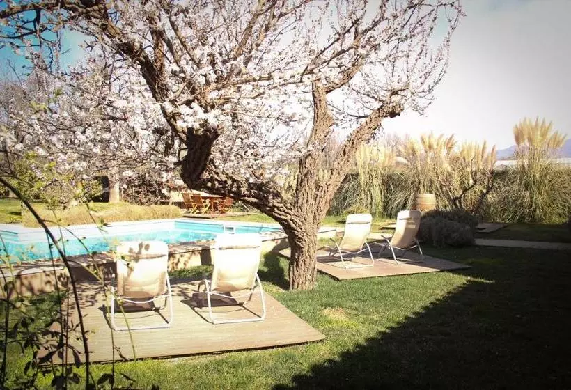 ホテル Finca Terrada