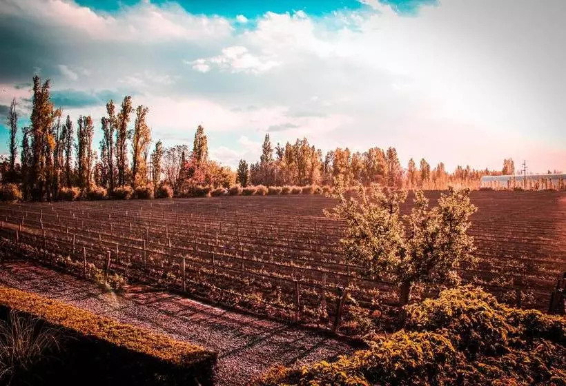 ホテル Finca Terrada