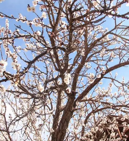 ホテル Finca Terrada