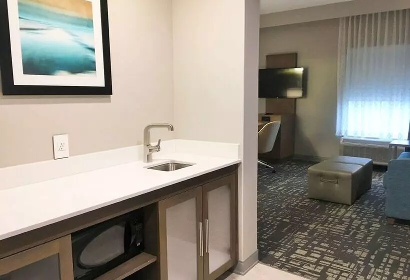 ホテル Hampton Inn & Suites Dallasthe Colony, Tx