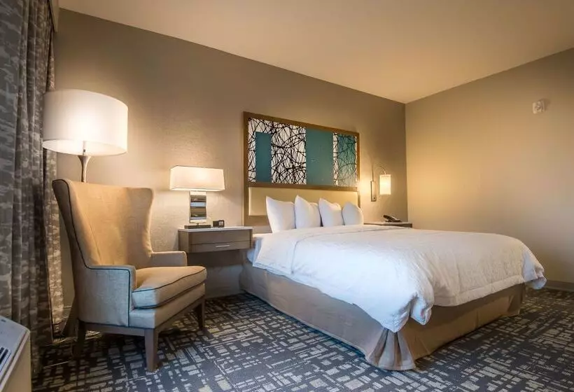 ホテル Hampton Inn & Suites Dallasthe Colony, Tx