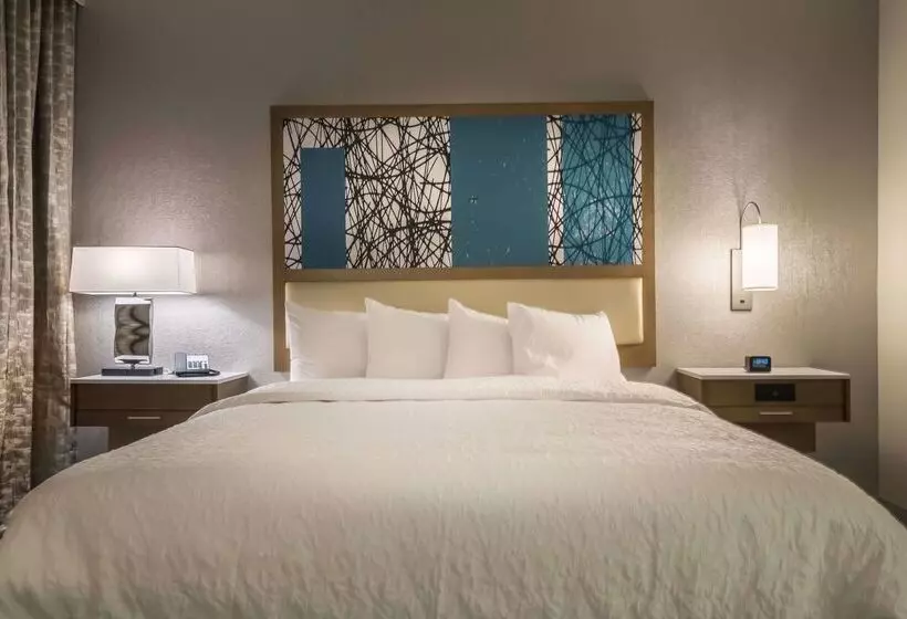 ホテル Hampton Inn & Suites Dallasthe Colony, Tx