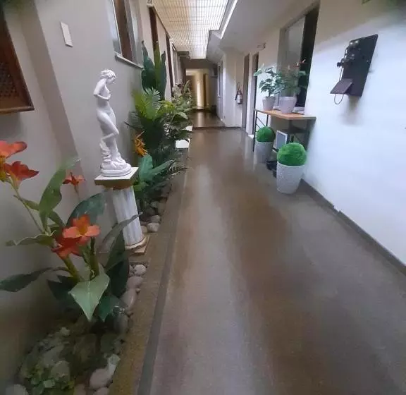 هتل Paraguai