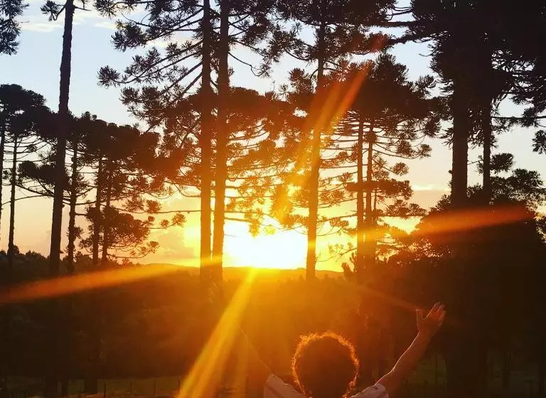 ホテル Lagoa Parque